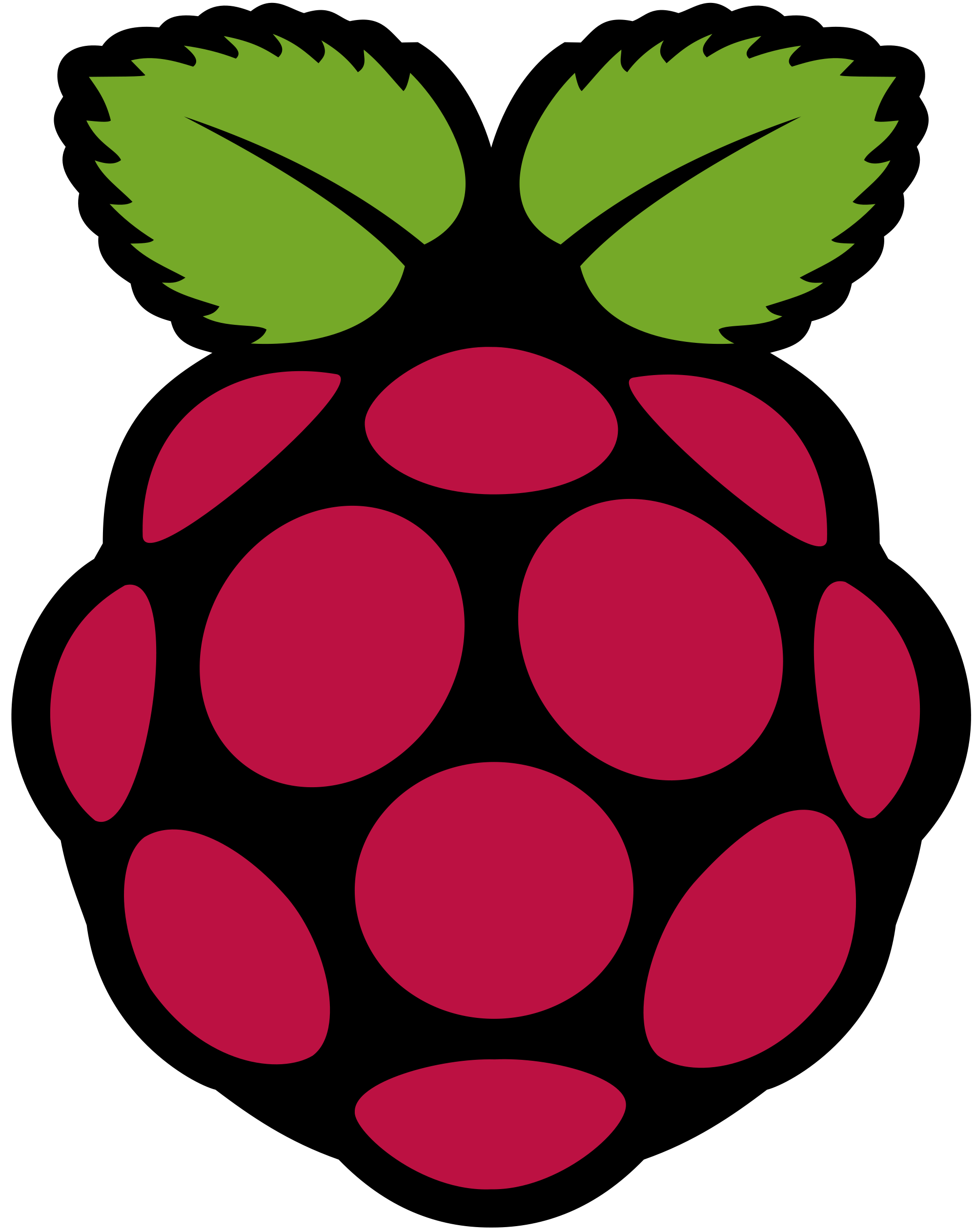Raspberry Pi Logo.png