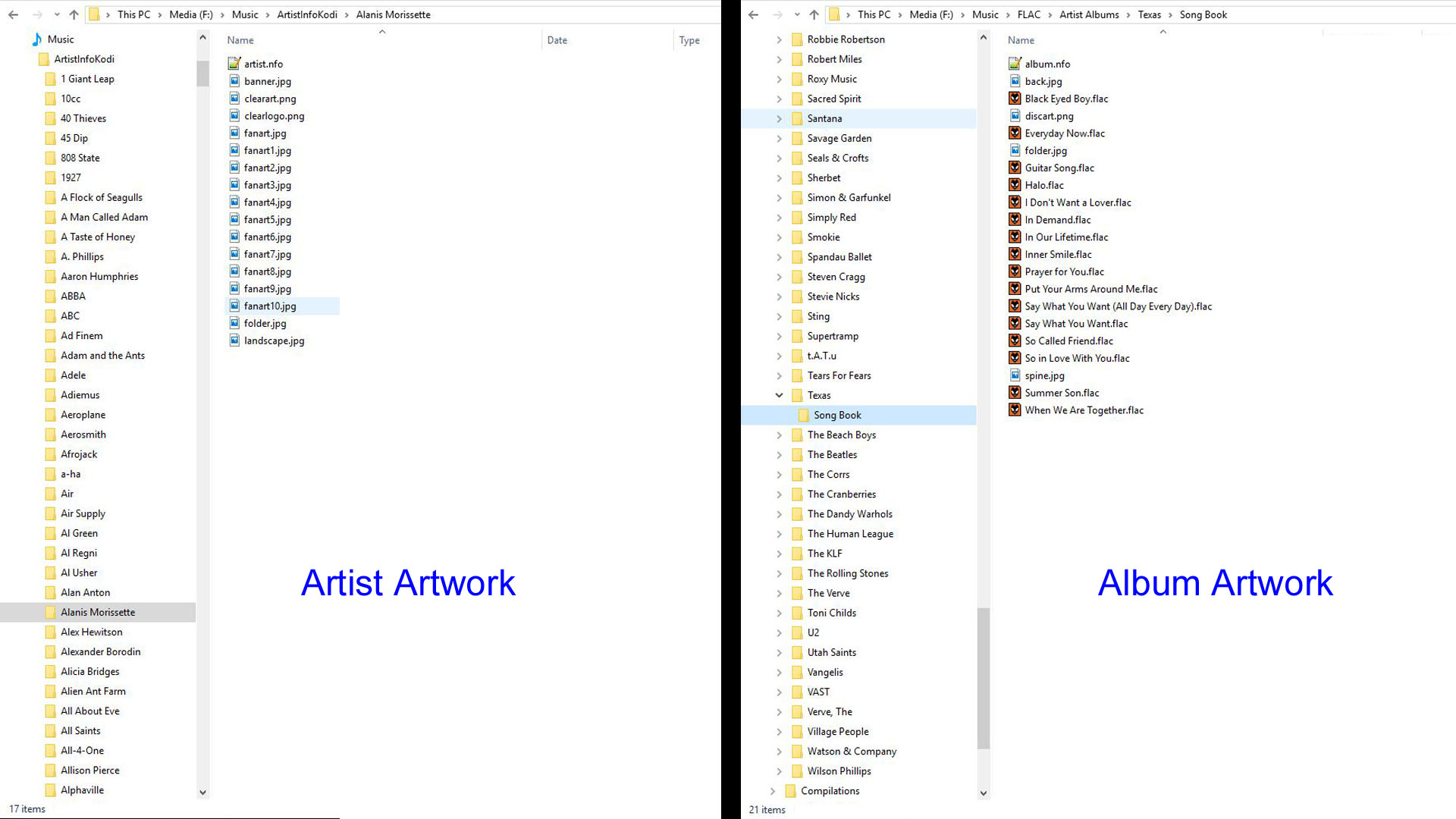 Artist Information Folder in use detailing artwork and nfo file (left image) Album folder containing songs from a single album along with artwork and nfo file (right image)
