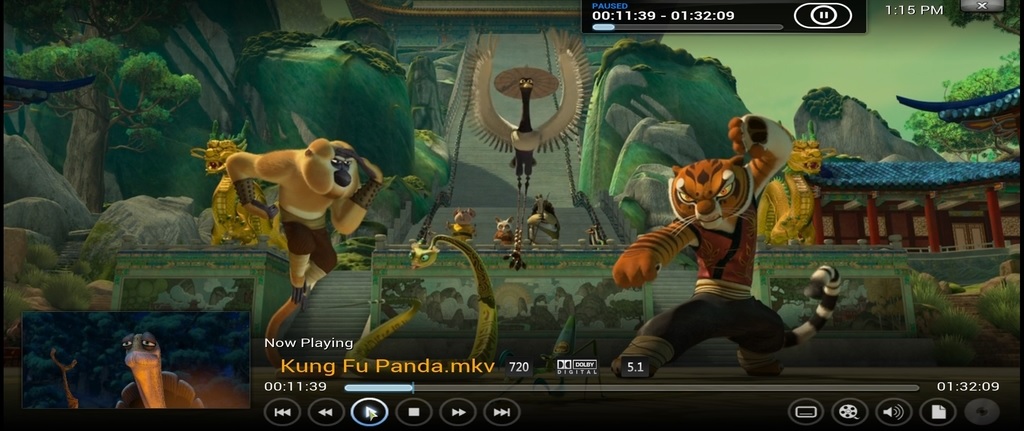 CIH - Kung Fu Panda in 2.40 aspect ratio.jpg
